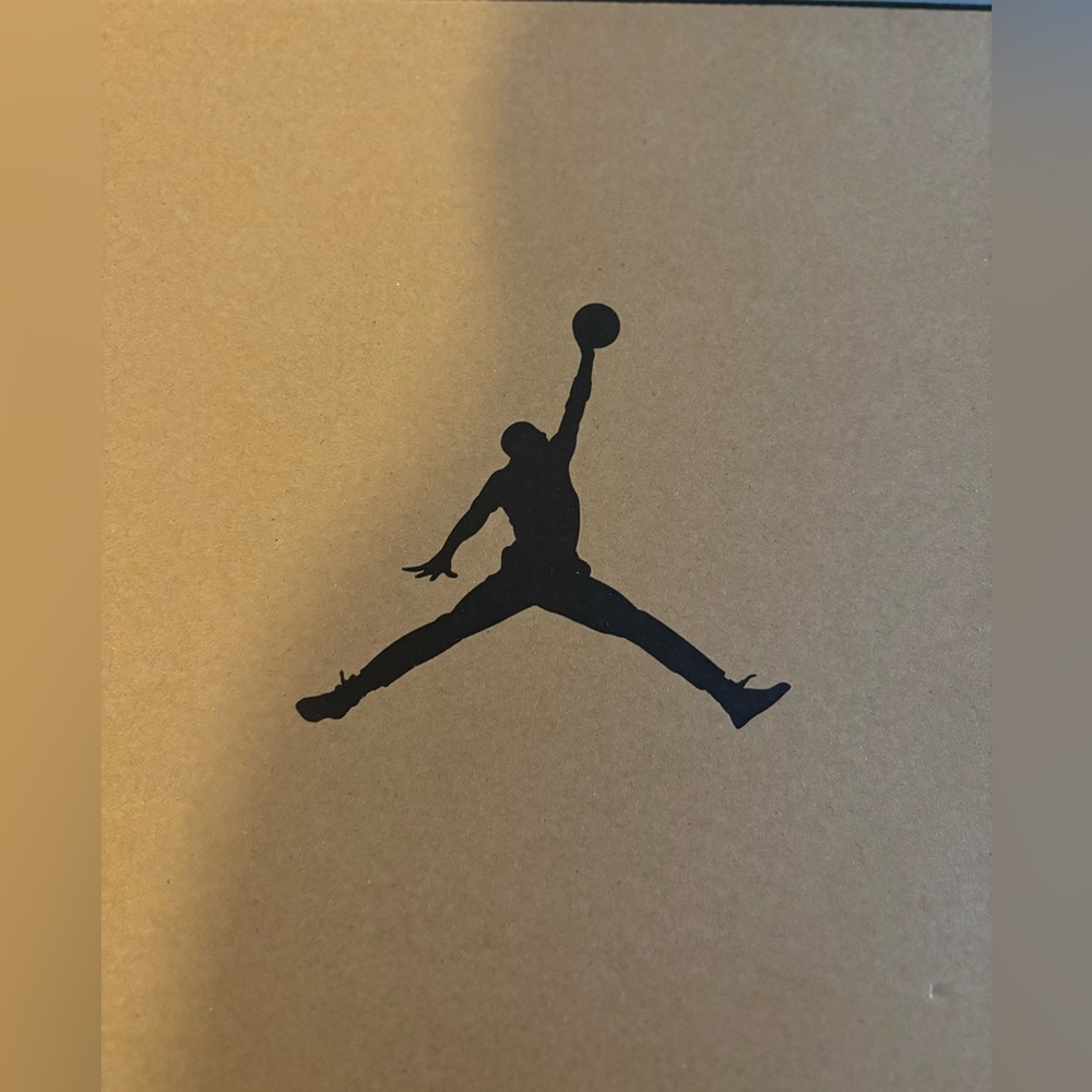 Preloved Jordan 12